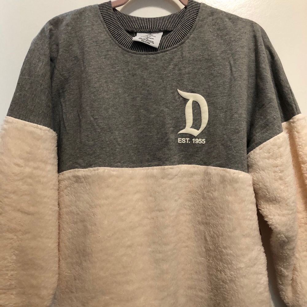 Disneyland teddy spirit jersey